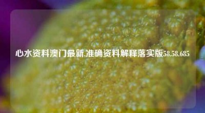 心水资料澳门最新,准确资料解释落实版58.58.685