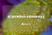 澳门留学需要资料,准确资料解释落实版58.58.717