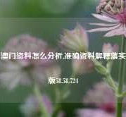 澳门资料怎么分析,准确资料解释落实版58.58.724