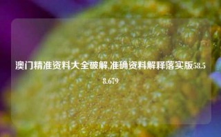 澳门精准资料大全破解,准确资料解释落实版58.58.679