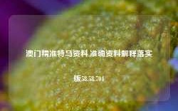 澳门精准特马资料,准确资料解释落实版58.58.704