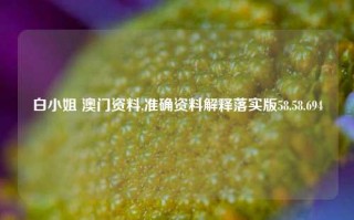 白小姐 澳门资料,准确资料解释落实版58.58.694