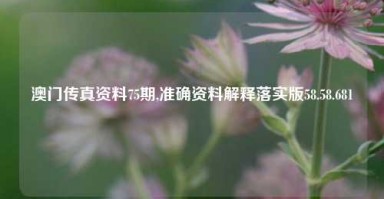 澳门传真资料75期,准确资料解释落实版58.58.681