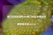 澳门生肖彩资料2020澳门论坛,准确资料解释落实版58.58.718