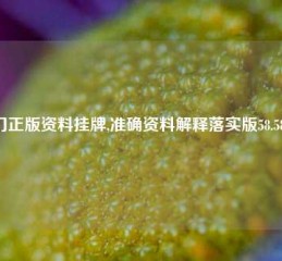 澳门正版资料挂牌,准确资料解释落实版58.58.724