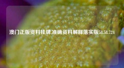 澳门正版资料挂牌,准确资料解释落实版58.58.724