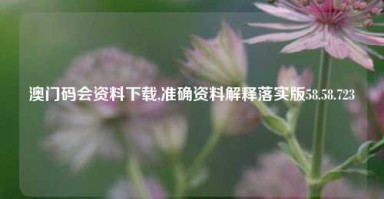 澳门码会资料下载,准确资料解释落实版58.58.723