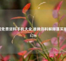 澳门免费资料手机大全,准确资料解释落实版58.58.706