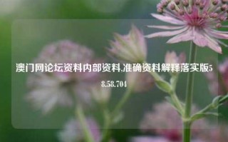 澳门网论坛资料内部资料,准确资料解释落实版58.58.704