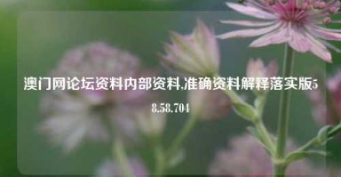 澳门网论坛资料内部资料,准确资料解释落实版58.58.704