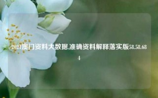 2021澳门资料大数据,准确资料解释落实版58.58.684