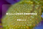 澳门iphoneid注册资料,准确资料解释落实版58.58.711