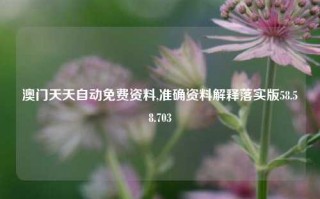 澳门天天自动免费资料,准确资料解释落实版58.58.703