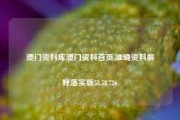 澳门资料库澳门资料首页,准确资料解释落实版58.58.726