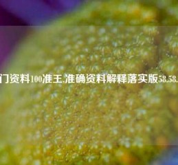 澳门资料100准王,准确资料解释落实版58.58.682