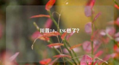 川普2.0，ESG悬了？