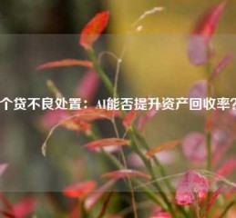 个贷不良处置：AI能否提升资产回收率？