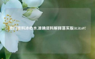 澳门资料冰心水,准确资料解释落实版58.58.697