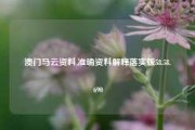 澳门马云资料,准确资料解释落实版58.58.690