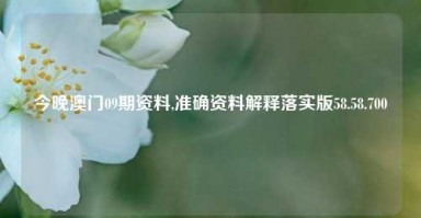 今晚澳门09期资料,准确资料解释落实版58.58.700