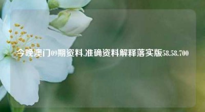 今晚澳门09期资料,准确资料解释落实版58.58.700