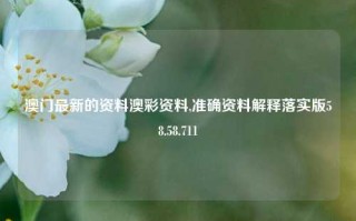 澳门最新的资料澳彩资料,准确资料解释落实版58.58.711