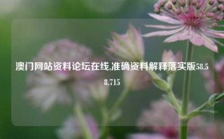 澳门网站资料论坛在线,准确资料解释落实版58.58.715