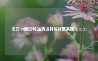 澳门 68期资料,准确资料解释落实版58.58.724