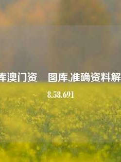 澳门资料库澳门资枓图库,准确资料解释落实版58.58.691