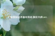 广船国际技术盘中异动 股价大跌5.01%