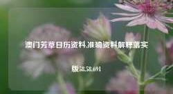 澳门芳草日历资料,准确资料解释落实版58.58.691