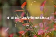 澳门菜的资料,准确资料解释落实版58.58.706