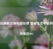 化债概念股局部反弹 蒙草生态午后异动涨近10%