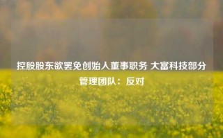 控股股东欲罢免创始人董事职务 大富科技部分管理团队：反对