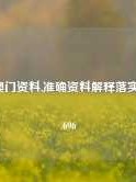 099期澳门资料,准确资料解释落实版58.58.696