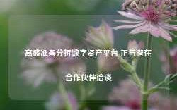 高盛准备分拆数字资产平台 正与潜在合作伙伴洽谈