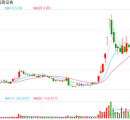 姜栋林当选西南证券董事长 接替因退休离任的吴坚