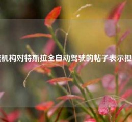 美机构对特斯拉全自动驾驶的帖子表示担忧