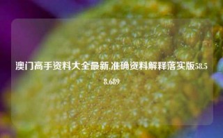 澳门高手资料大全最新,准确资料解释落实版58.58.689