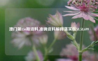 澳门第156期资料,准确资料解释落实版58.58.699