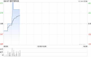 细叶榕科技拟折让约11.76%配售最多1.35亿股 净筹约8030万港元