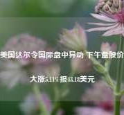 美国达尔令国际盘中异动 下午盘股价大涨5.11%报43.18美元