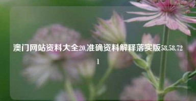 澳门网站资料大全20,准确资料解释落实版58.58.721