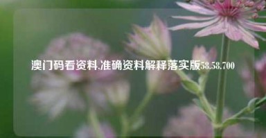 澳门码看资料,准确资料解释落实版58.58.700