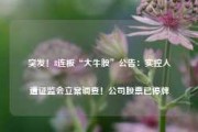 突发！8连板“大牛股”公告：实控人遭证监会立案调查！公司股票已停牌