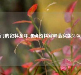 澳门的资料全年,准确资料解释落实版58.58.692