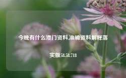 今晚有什么澳门资料,准确资料解释落实版58.58.718