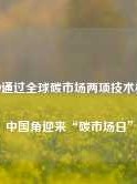 COP29通过全球碳市场两项技术标准，中国角迎来“碳市场日”