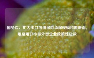 国务院：扩大出口信用保险承保规模和覆盖面，用足用好小微外贸企业政策性贷款