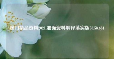 澳门精品资料2021,准确资料解释落实版58.58.684